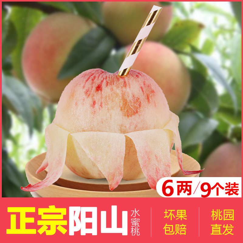正宗无锡特产阳山水蜜桃孕妇新鲜水果软甜桃子6两左右9个装非奉化在类目 水产肉类/新鲜蔬果/熟食, 新鲜水果, 桃中 - 来自Buy2taobao.com提供专业的淘宝代购服务