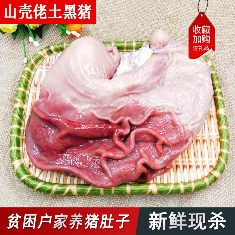 山壳佬黑山猪肚新鲜猪肚子750g家养土黑猪野猪肚猪内脏生猪肚包邮|ruв категории водной мясо/свежие фрукты и овощи/еда, сырое мясо/мясо, свинина, студентов свинины - от Buy2taobao.com для оказания профессиональной услуги покупки агента Taobao