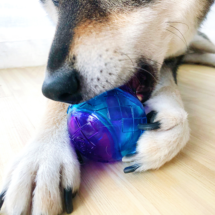GiGwi貴爲G-Ball狗狗玩具球發聲寵物玩具幼犬小狗大型犬磨牙耐咬在類目 寵物/寵物食品及用品, 貓/狗玩具, 橡膠球/球形玩具中 - 來自Buy2taobao.com提供專業的淘寶代購服務