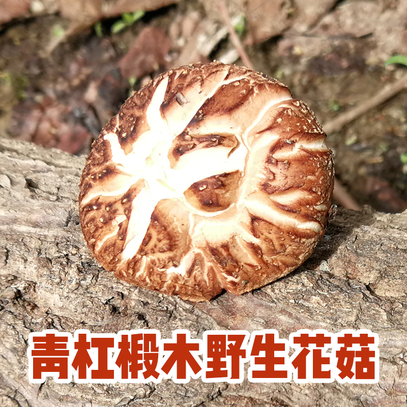 花菇干货250g精选野生椴木花菇新鲜干香菇大冬菇农家小蘑菇金钱菇在类目 粮油米面/南北干货/调味品, 南北干货/肉类干货, 干货/土特产, 香菇类中 - 来自Buy2taobao.com提供专业的淘宝代购服务