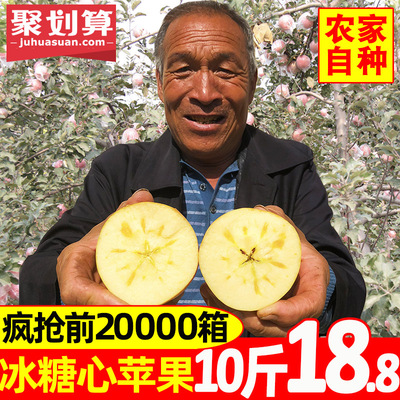 山西冰糖心苹果10斤批新鲜水果当季应季红富士丑苹果整箱现季一箱