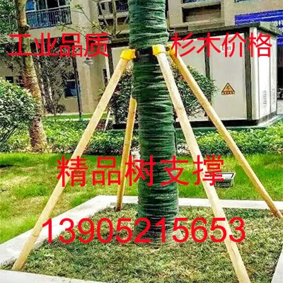 绿化新型行道树木支撑杆支架固定架固定器去皮松木棍支撑套在类目 鲜花速递/花卉仿真/绿植园艺, 园艺用品, 其它园艺用品中 - 来自Buy2taobao.com提供专业的淘宝代购服务