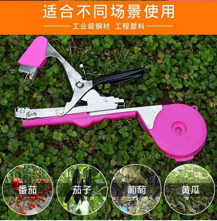 Grape tied sticks machine tape Bangsheng machine tomato cucumber grape Bindingin the Flower delivery/Flowers simulation/Plants gardening , Gardening supplies , Other Garden Supplies category - from Buy2taobao.com to provide professional Taobao agent buy service
