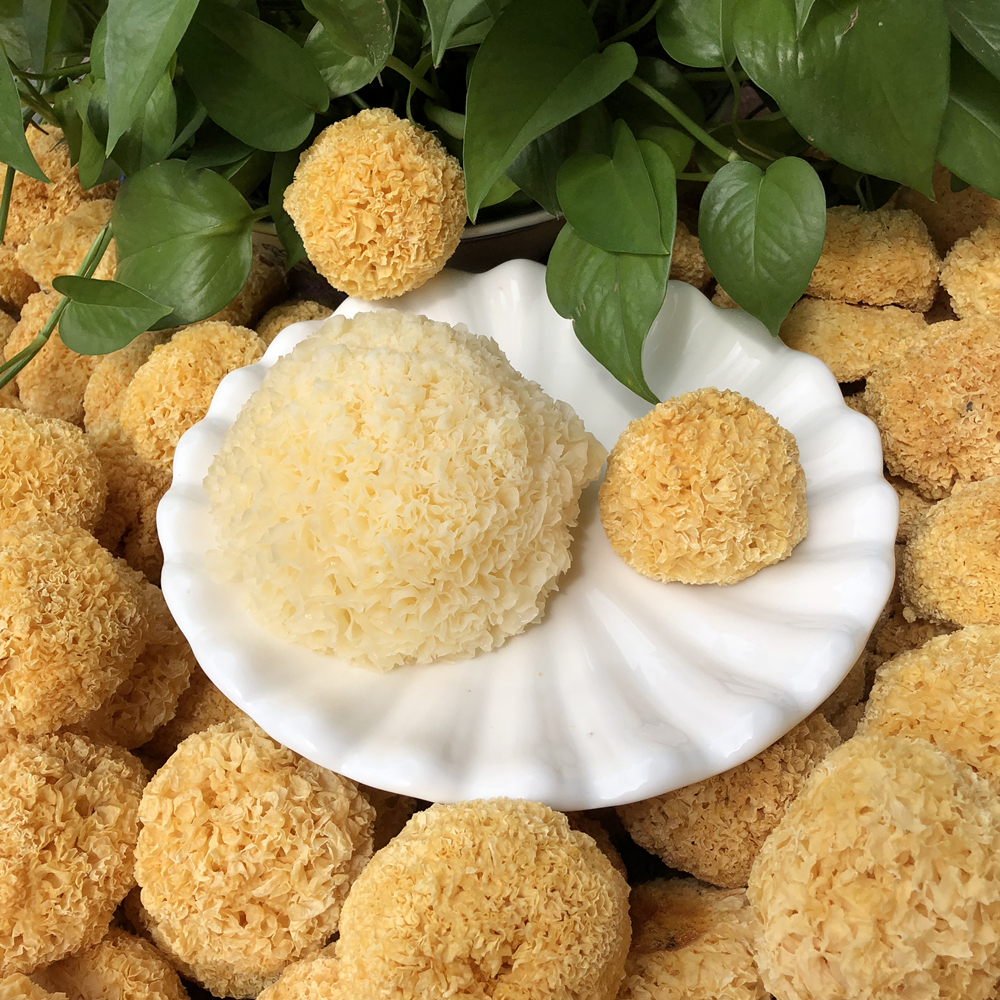 Sulfur Tremella Furuta Tremella dried food Tremella Fungus fresh Tremella Ugly ears Lian Zaigeng specialty 250gin the Agri rice/Dried foods/Condiment , Dried foods/Meat Dry , Dry/Native , Tremella/Tremella category - from Buy2taobao.com to provide professional Taobao agent buy service