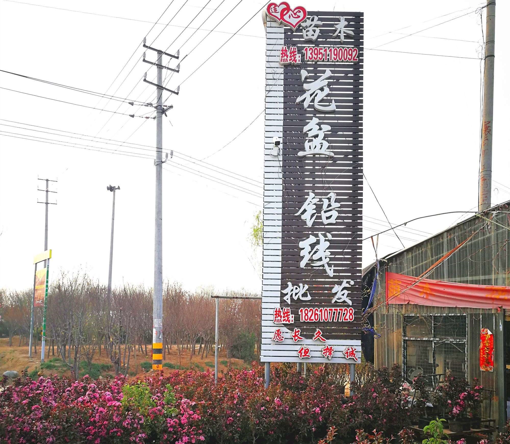 植物造型软铝线铁丝扎线带豆角扎丝瓜盆景铝丝铝线捆线材定型捆绑在类目 鲜花速递/花卉仿真/绿植园艺, 园艺用品, 其它园艺用品中 - 来自Buy2taobao.com提供专业的淘宝代购服务
