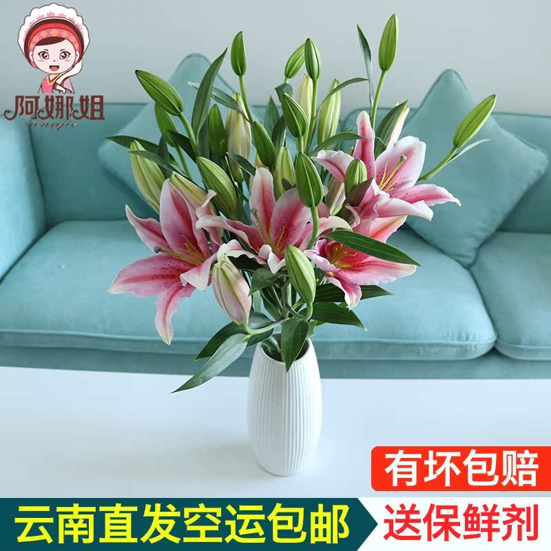 鲜花百合花新鲜水养香水花束四季水培室内家速递云南昆明绿植直发在类目 鲜花速递/花卉仿真/绿植园艺, 鲜花速递(同城)中 - 来自Buy2taobao.com提供专业的淘宝代购服务