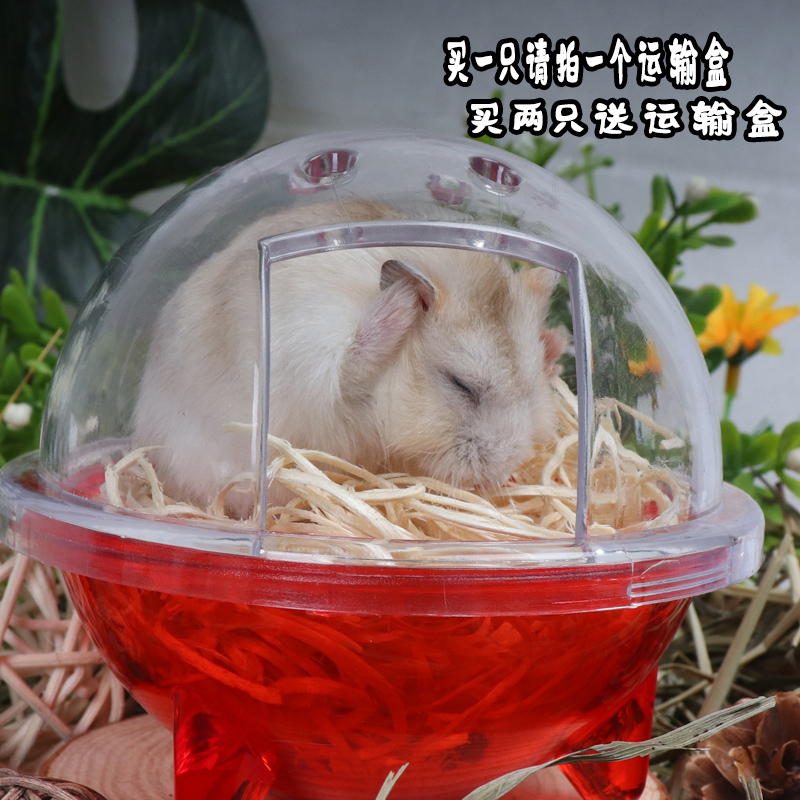 仓鼠活物活体布丁银狐紫仓三线家养可爱鼠宝宝宠物鼠仓鼠好养包邮|ruв категории животное/Животное питание и принадлежностей, хомяк класса и других малых животное, хомяк - от Buy2taobao.com для оказания профессиональной услуги покупки агента Taobao