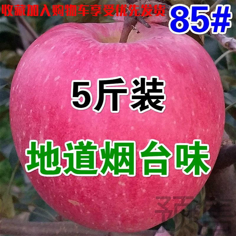 水果 85mm 天然正宗栖霞红富士当季苹果新鲜脆甜5斤包邮在类目 水产肉类/新鲜蔬果/熟食, 新鲜水果, 苹果中 - 来自Buy2taobao.com提供专业的淘宝代购服务
