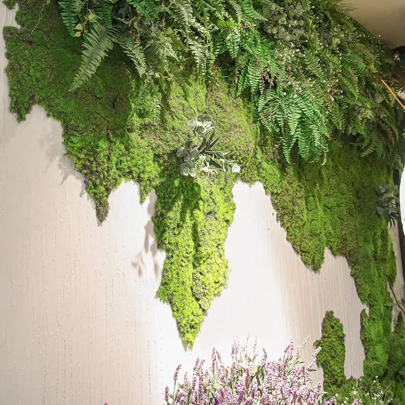 工厂直营仿苔藓草仿场景橱窗装饰仿苔藓绿植墙珍珠棉青苔|ruв категории музыкальный инструмент/гитара/пианино/аксессуары, американский музыкальный инструмент, американский ударных инструментов, Электронные барабаны - от Buy2taobao.com для оказания профессиональной услуги покупки агента Taobao