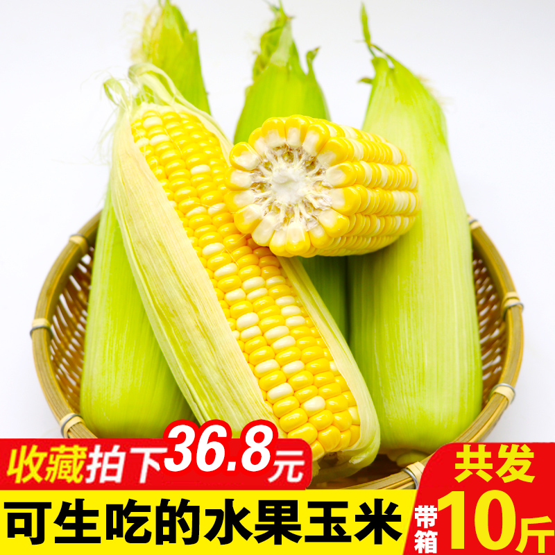 云南水果玉米新鲜带箱10斤甜玉米新鲜牛奶玉米笋特产水果糯玉米|ruв категории водной мясо/свежие фрукты и овощи/еда, свежие фрукты, другие - от Buy2taobao.com для оказания профессиональной услуги покупки агента Taobao