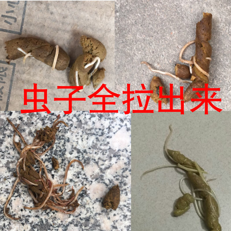 狗玩具宠物泰迪玩具金毛泰迪比熊发声狗狗玩具耐咬磨牙宠物在类目 宠物/宠物食品及用品, 猫/狗玩具, 发声玩具中 - 来自Buy2taobao.com提供专业的淘宝代购服务