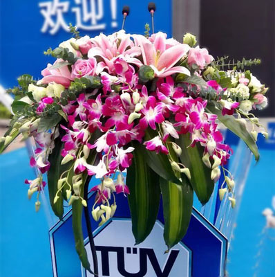 会议台花演讲台花东莞鲜花速递大朗松山湖南城莞城东城万江虎门在类目 鲜花速递/花卉仿真/绿植园艺, 婚礼鲜花布置, 婚庆花篮中 - 来自Buy2taobao.com提供专业的淘宝代购服务