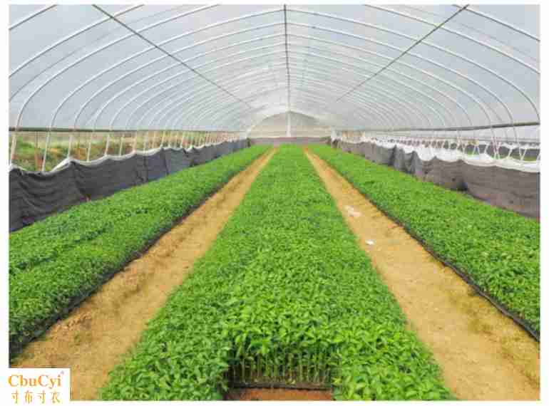Vegetables Bold grow seedlings greenhouse greenhouse Conservatory courtyard fixed Bracket Plastic film Botany Melon-Shed Steel pipe Countrysidein the Flower delivery/Flowers simulation/Plants gardening , Gardening supplies , Other Garden Supplies category - from Buy2taobao.com to provide professional Taobao agent buy service