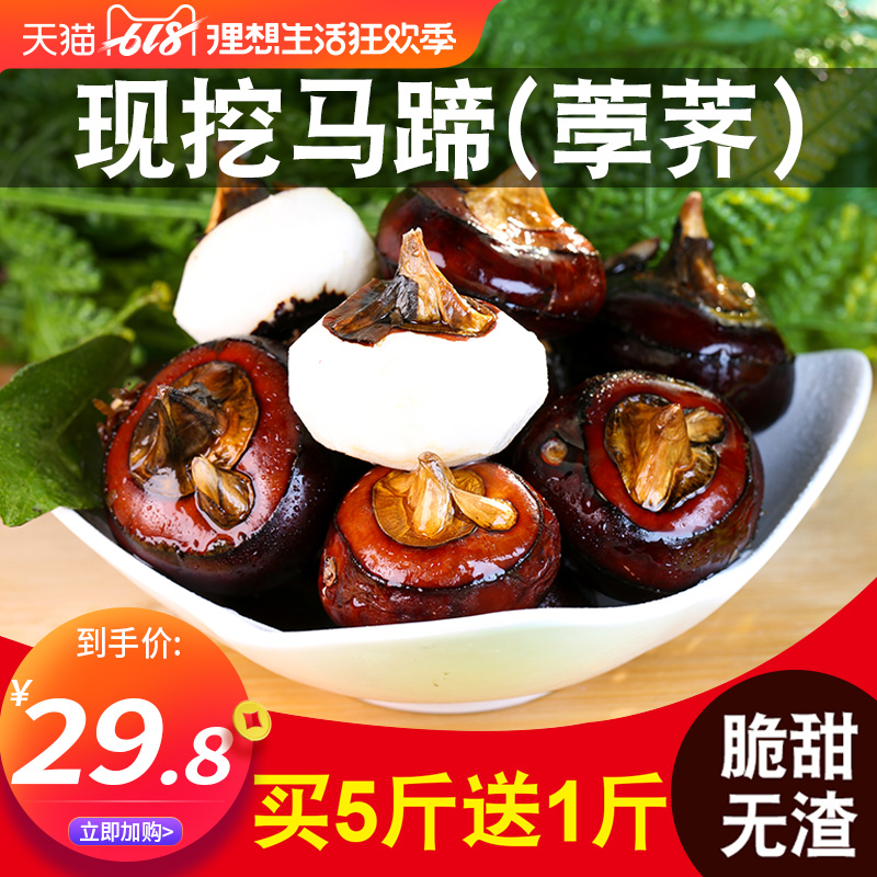 荸荠马蹄6斤带箱荸荠新鲜包邮当季水果蔬菜10饽荠应季即食马蹄果在类目 水产肉类/新鲜蔬果/熟食, 新鲜蔬菜/蔬菜制品, 新鲜蔬菜, 其它中 - 来自Buy2taobao.com提供专业的淘宝代购服务