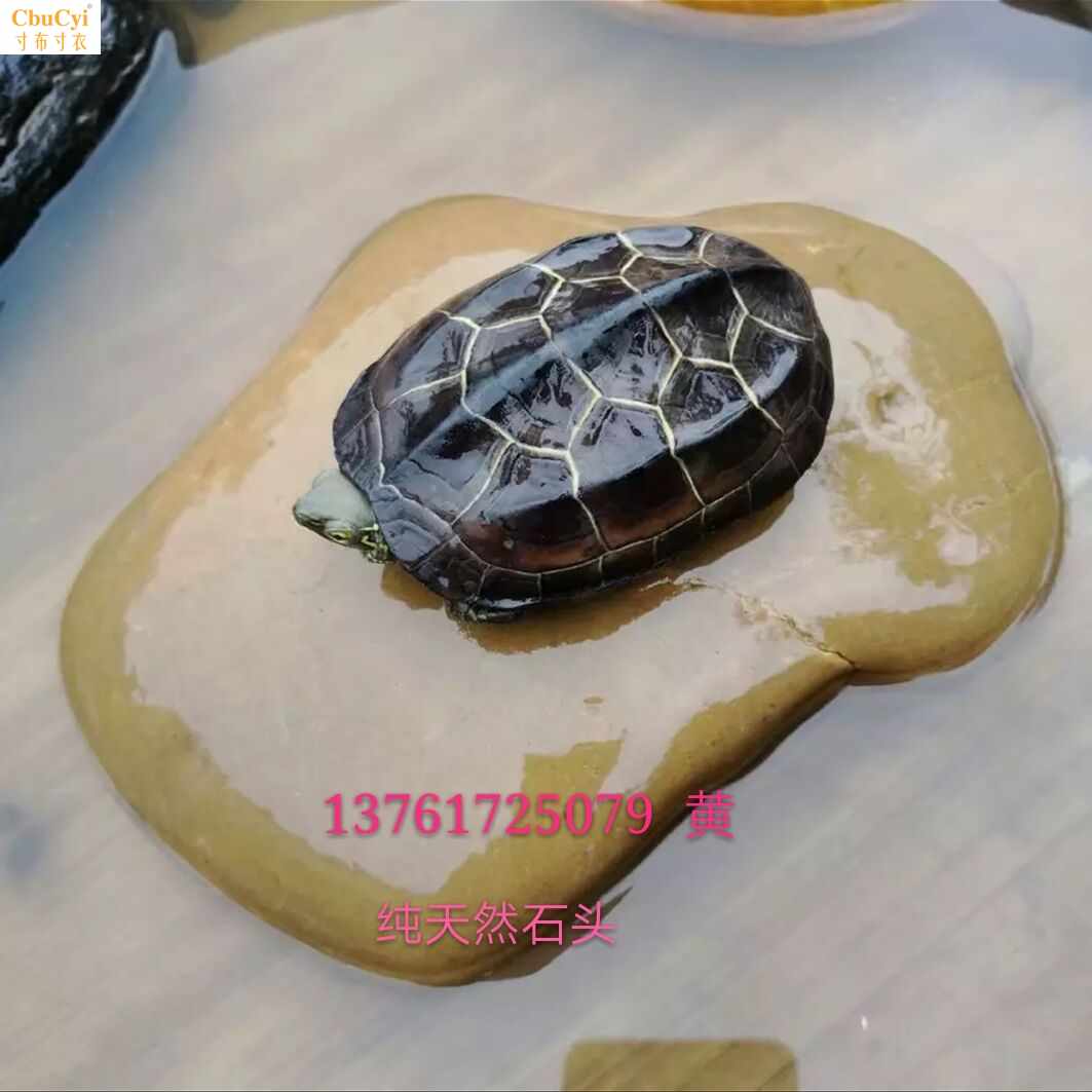 乌龟晒台晒背石头天然陆龟缸造景装饰用品草龟小爬台爬坡休息台|ruв категории доставка цветов/цветок моделирования/растения садоводства, садовых принадлежностей, других садовых принадлежностей - от Buy2taobao.com для оказания профессиональной услуги покупки агента Taobao
