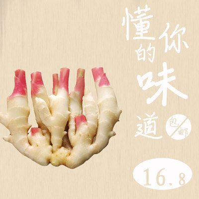 子姜嫩姜芽新鲜泡菜仔姜小嫩姜牙山东姜现挖红芽鲜姜净重5斤姜黄