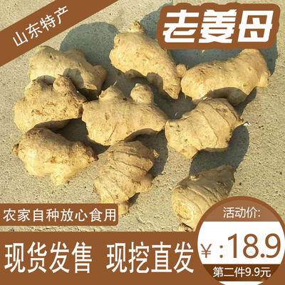 生姜母老姜母山东大黄姜母5斤包邮新鲜生姜母黄姜月子姜新鲜蔬菜