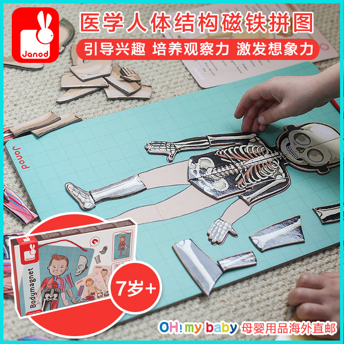 Janod 人体结构骨骼肌肉英文名称磁性拼图 医学启蒙儿童益智玩具在类目 玩具/童车/益智/积木/模型, 串珠/拼图/配对/拆装/敲打玩具, 拼图/拼板中 - 来自Buy2taobao.com提供专业的淘宝代购服务