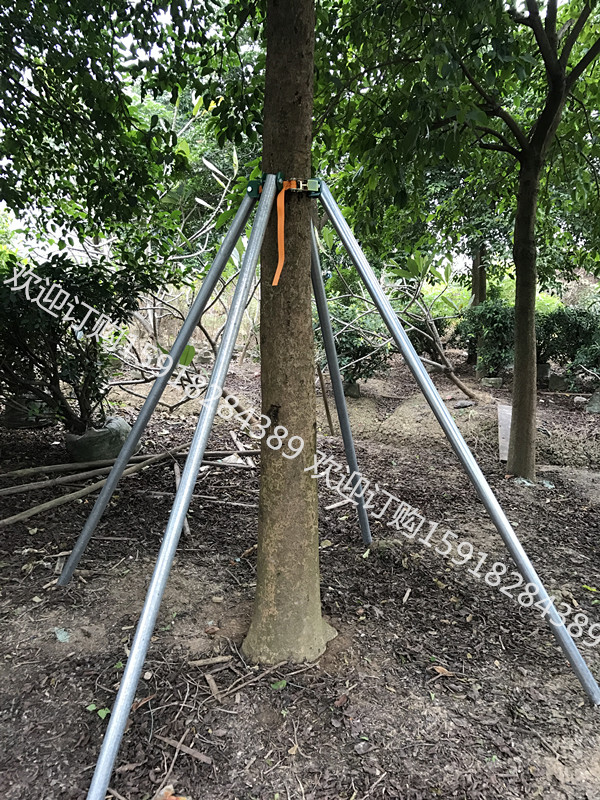支撐架 緊帶式樹木固自産自銷鍍鋅鋼管樹木器市政工程園林綠化在類目 鮮花速遞/花卉仿真/綠植園藝, 園藝用品, 其它園藝用品中 - 來自Buy2taobao.com提供專業的淘寶代購服務
