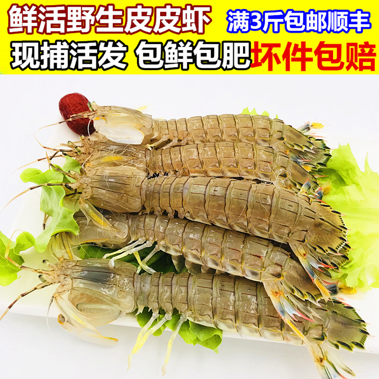 Fresh Pipi shrimp Male and female Shrimp po Huoxia Pipa shrimp Mantis shrimp fresh Seafood Aquatic products 3 poundsin the Aquatic meat/Fresh fruits and vegetables/Cooked , Seafood/Aquatic/Product , Shrimp , Huoxia category - from Buy2taobao.com to provide professional Taobao agent buy service