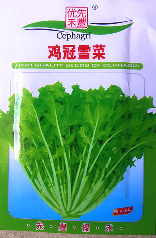 蔬菜種子金絲芥種子 細葉雪裏蕻芥菜種子 雞冠雪菜種子鹹菜種子在類目 鮮花速遞/花卉仿真/綠植園藝, 花卉/蔬果/草坪種子(新), 家庭園藝種子中 - 來自Buy2taobao.com提供專業的淘寶代購服務