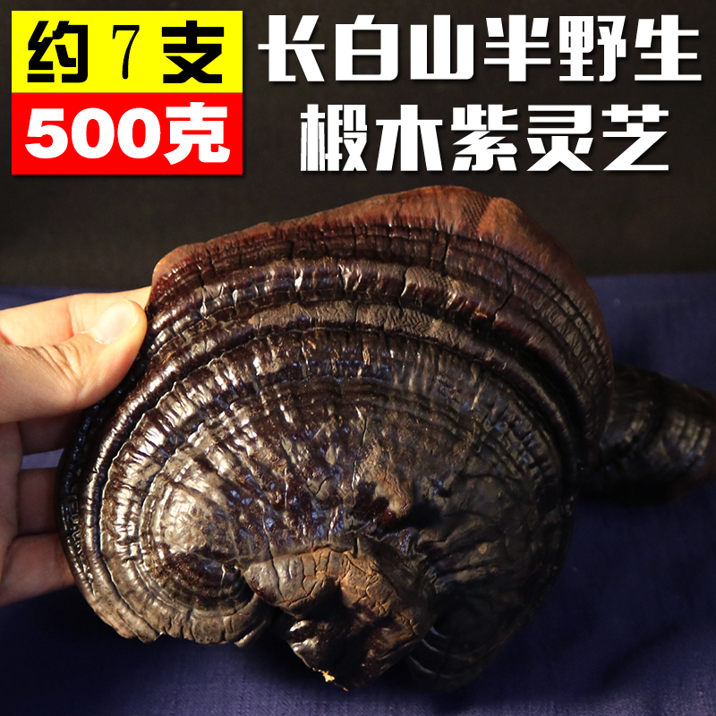 Ganoderma lucidum Changbai Pure natural Mountains Pruning wild Nyingchi 500g bulk Super First Class 1 Purple fungusin the Traditional nourishing food , Ganoderma , Pruning Ganoderma category - from Buy2taobao.com to provide professional Taobao agent buy service