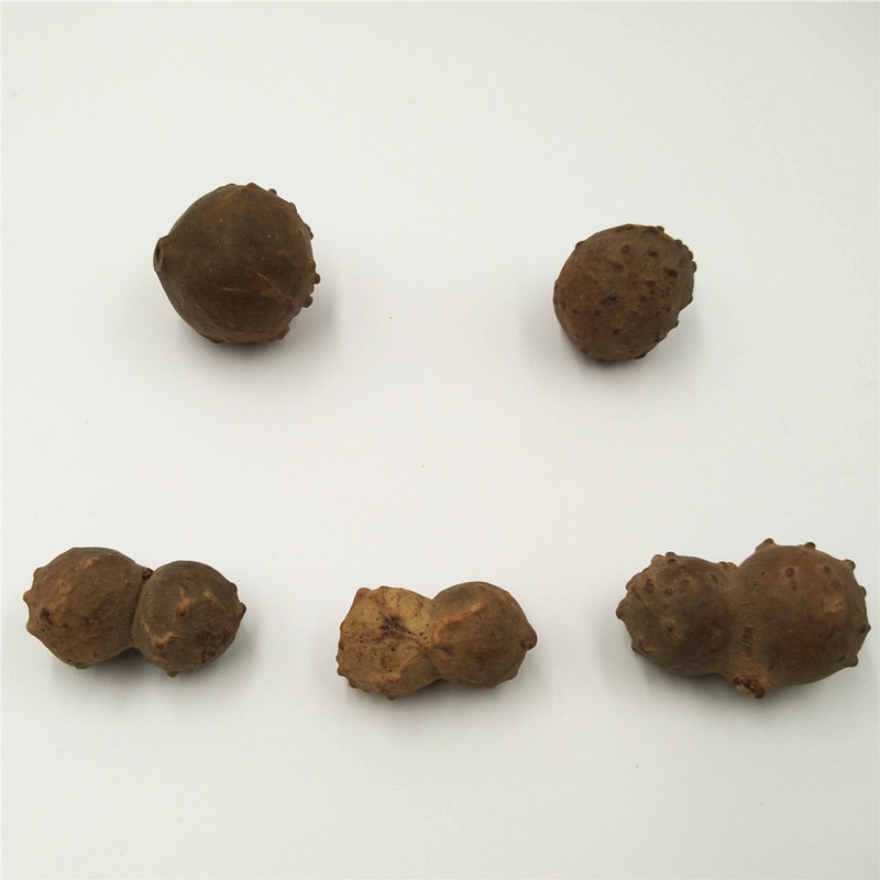 纯天然精品 特殊连体 超大单颗通天眼菩提子 单颗散珠配饰在类目 饰品/流行首饰/时尚饰品新, 佛珠/木质手串, 佛珠/念珠中 - 来自Buy2taobao.com提供专业的淘宝代购服务