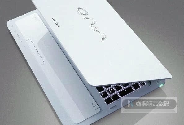 【美国章鱼哥】索尼 Sony VAIO VPCF22 笔记