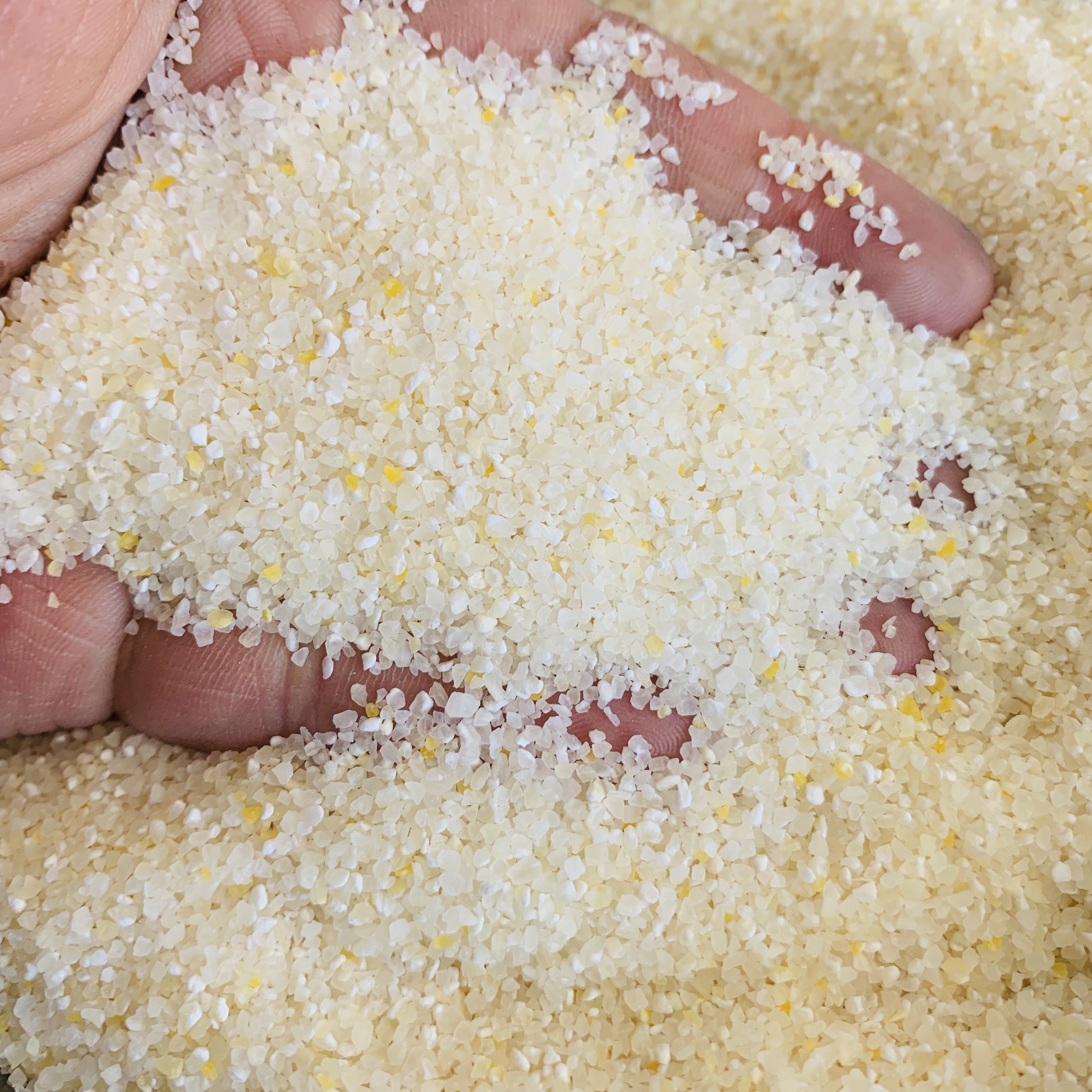 Farm White corn Corn residue Small residue)5 cattiesin the Agri rice/Dried foods/Condiment , Meter/Flour/Grains , Corn category - from Buy2taobao.com to provide professional Taobao agent buy service