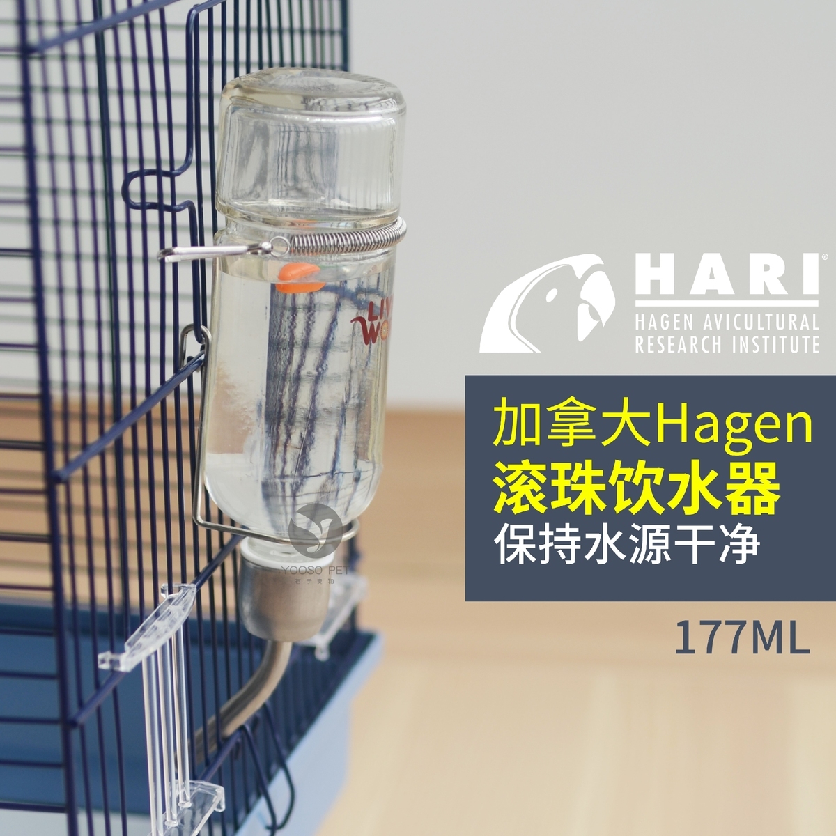 进口哈根鸟滚珠饮水器小宠滚珠饮水器hagen鸟喂水喂食器自动喂水|ruв категории животное/Животное питание и принадлежностей, птиц и принадлежностей, птица приборов (новая), питатель - от Buy2taobao.com для оказания профессиональной услуги покупки агента Taobao