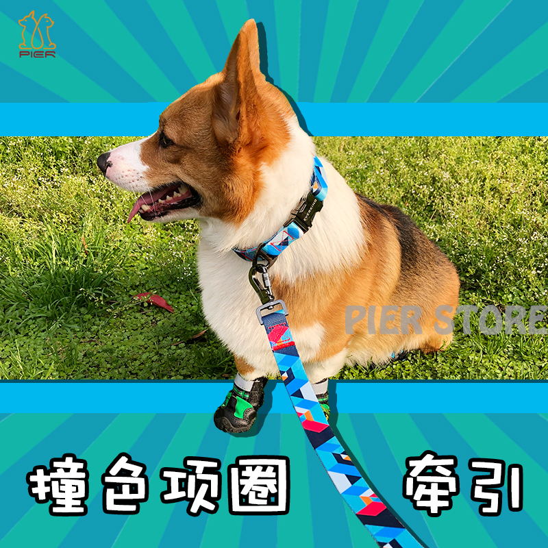 柯基犬项圈撞色可调节小中大狗狗柔软脖圈宠物饰品牵引绳多色颈圈|ruв категории животное/Животное питание и принадлежностей, кошка/собака товаров, ошейник - от Buy2taobao.com для оказания профессиональной услуги покупки агента Taobao