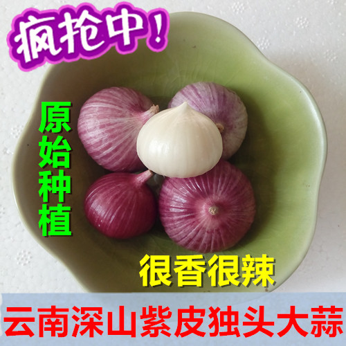 无农药紫皮独头大蒜 2019年新鲜大蒜头 云南农家自种 3斤包邮在类目 水产肉类/新鲜蔬果/熟食, 新鲜蔬菜/蔬菜制品, 大蒜中 - 来自Buy2taobao.com提供专业的淘宝代购服务