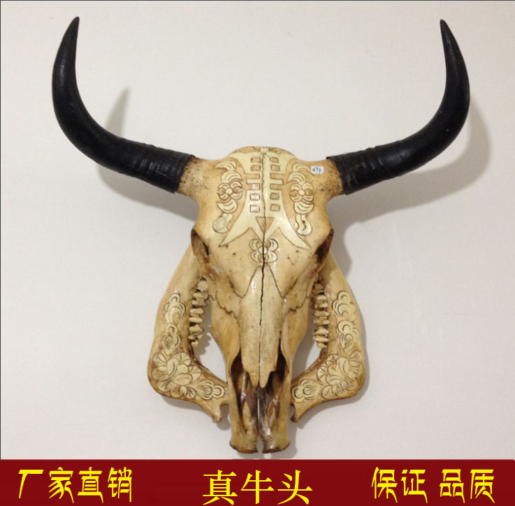 牛头骨工艺品 牦牛头骨装饰品 真牛羊头骨标本 特色手工壁挂牛头|ruв категории Ручная работа, национальных меньшинств, в особенности ремесла, тибетский спецификой, другие - от Buy2taobao.com для оказания профессиональной услуги покупки агента Taobao