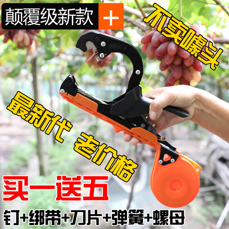 new pattern Tomatoes Bangman gun cucumber grape Binding Special Offerin the Flower delivery/Flowers simulation/Plants gardening , Gardening supplies , Other Garden Supplies category - from Buy2taobao.com to provide professional Taobao agent buy service