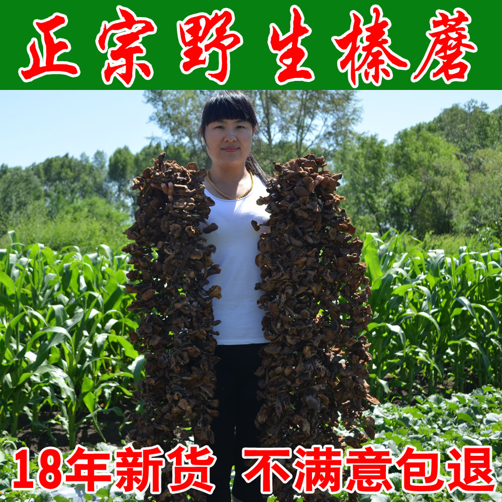 新货特产东北野生榛蘑菇500g包邮山货小鸡炖榛蘑食用菌干货香菇类|msdalam kategori beras/Utara-Selatan barangan kering/perasa, Utara-Selatan barangan kering/daging Kering, kering/Native, kelas cendawan - dari Buy2taobao.com untuk memberikan perkhidmatan ejen Taobao profesional membeli