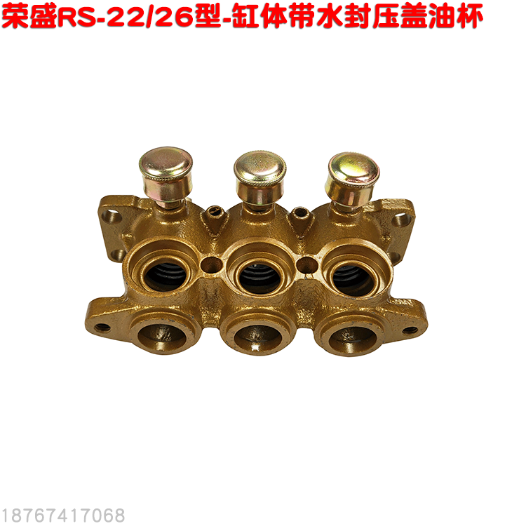 RS Emori 22 Triplex Piston Cylinder Cylinder Water seal Gland Oil cup Fight drugs pump 26 Sprayersin the Flower delivery/Flowers simulation/Plants gardening , Gardening supplies , Garden Pump category - from Buy2taobao.com to provide professional Taobao agent buy service
