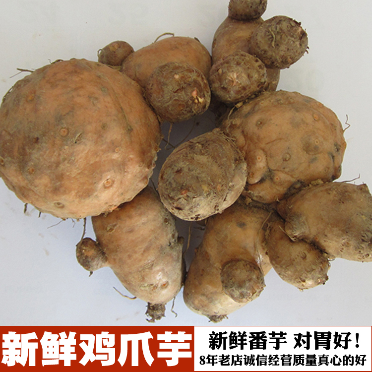 Gaozhou Native Products/Farm fresh Chicken taro Shoe taro/Nanshing head/South taro/Yamin the Aquatic meat/Fresh fruits and vegetables/Cooked , Fresh vegetables/Vegetable products , Fresh vegetables , Sweet potato category - from Buy2taobao.com to provide professional Taobao agent buy service