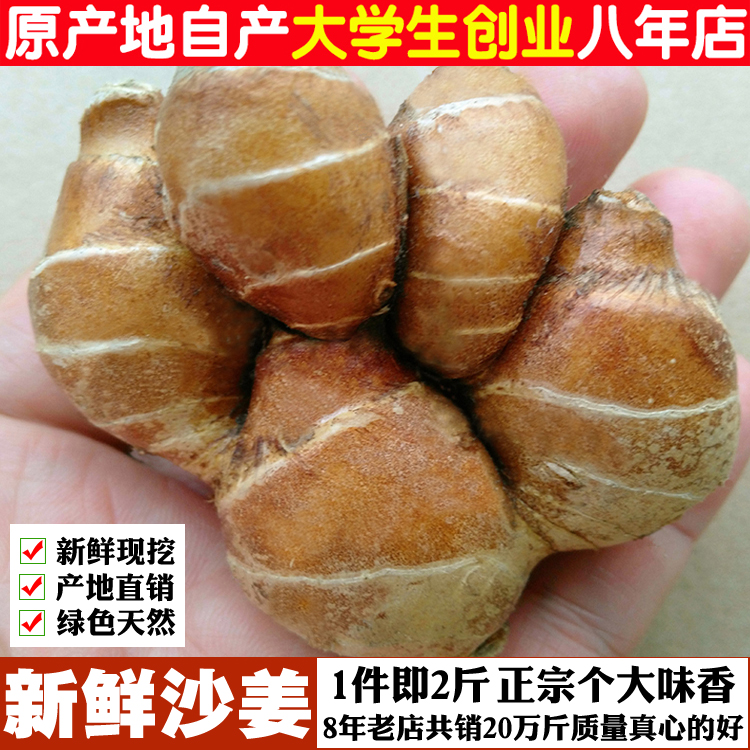 2斤新鮮沙姜包郵山奈幹正宗廣東茂名高州生沙姜椰子白切雞調配料在類目 水產肉類/新鮮蔬果/熟食, 新鮮蔬菜/蔬菜製品, 生薑中 - 來自Buy2taobao.com提供專業的淘寶代購服務