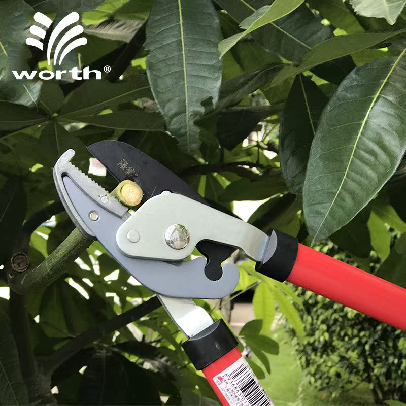 Wo Shi worth gardening Iron handle Deadwood Lopper Fruit tree Shears Landscaping Shears toolin the Flower delivery/Flowers simulation/Plants gardening , Gardening supplies , Gardening/Knife/Scissors/Saw (New) , Scissors category - from Buy2taobao.com to provide professional Taobao agent buy service