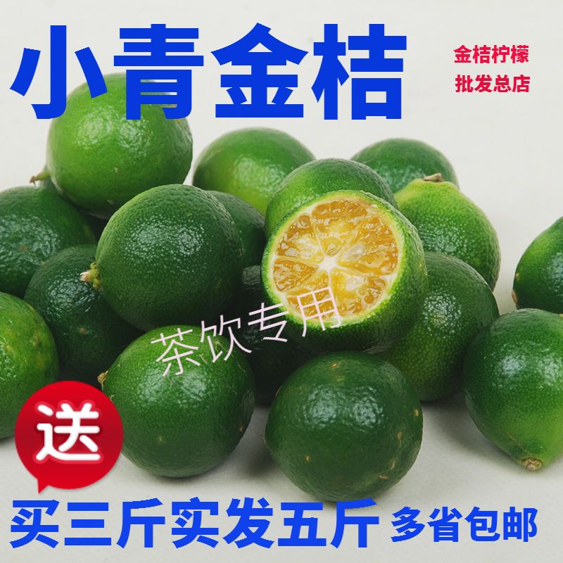 2[Shi Fa 5 fresh Hainan Green kumquat indigo plant Kumquat Tea raw material indigo plantin the Aquatic meat/Fresh fruits and vegetables/Cooked , Fresh fruit , Orange category - from Buy2taobao.com to provide professional Taobao agent buy service