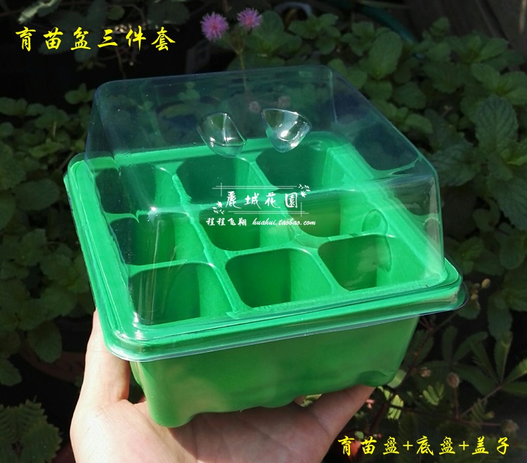 【育苗盆三件套】14x14cm九孔育苗箱育苗盒子/环保新料略软 50g|msdalam kategori penghantaran bunga/bunga simulasi/tumbuhan berkebun, Gardening Supplies, dulang Nursery/mangkuk pemakanan - dari Buy2taobao.com untuk memberikan perkhidmatan ejen Taobao profesional membeli