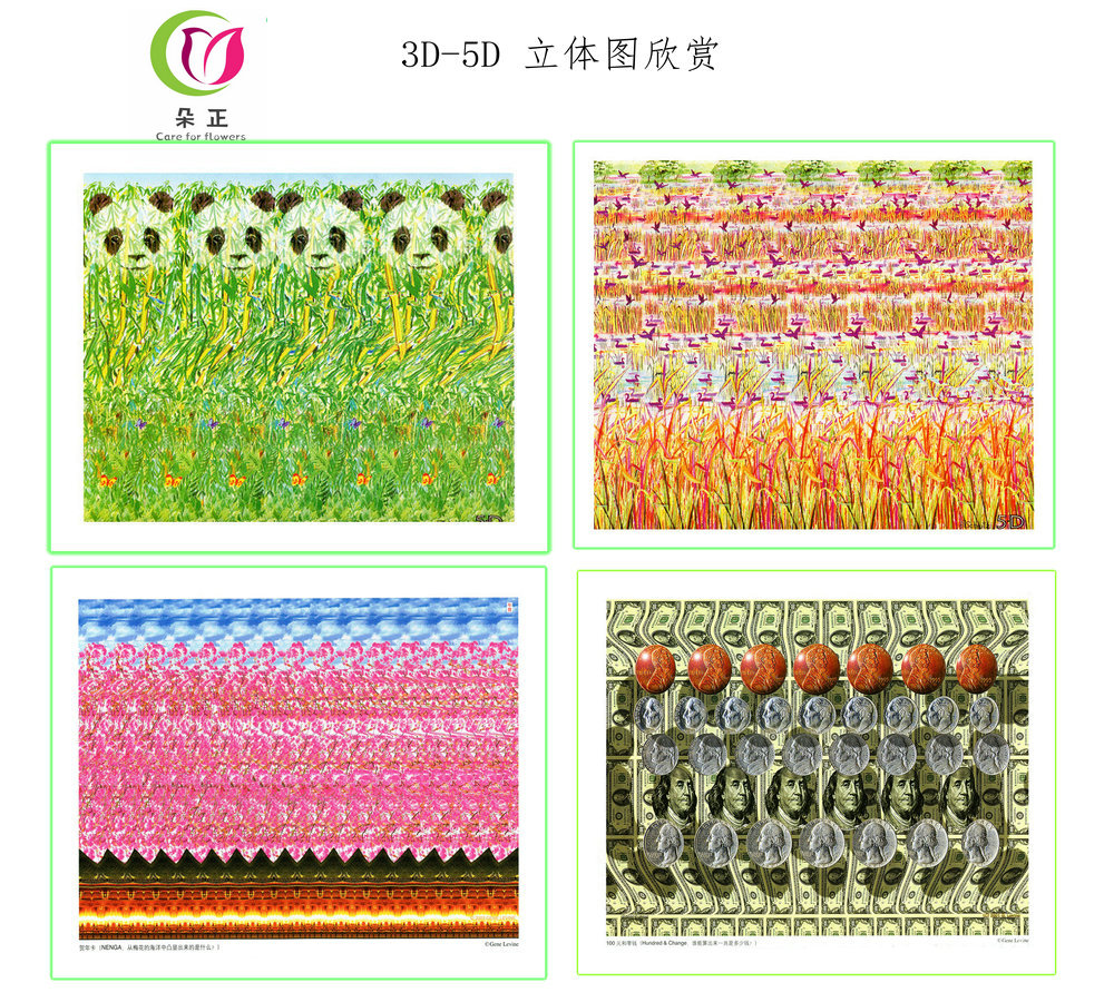 定制儿童立体视力专注3D训练图卡 三维立体卡画防近视3d益智玩具在类目 个性定制/设计服务/DIY, 日用/装饰定制, 相册/照片书/立体照片中 - 来自Buy2taobao.com提供专业的淘宝代购服务
