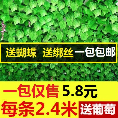Plastic Artificial flower Grape leaves Green leaf decorate Leaf Rattan simulation Green plant Wall hanging Be launched The Conduit Occlusion Twinein the Home accessories , Vase/Flower/Artificial flowers/Imitation jewelry , Artificial flowers/Artificial flower category - from Buy2taobao.com to provide professional Taobao agent buy service