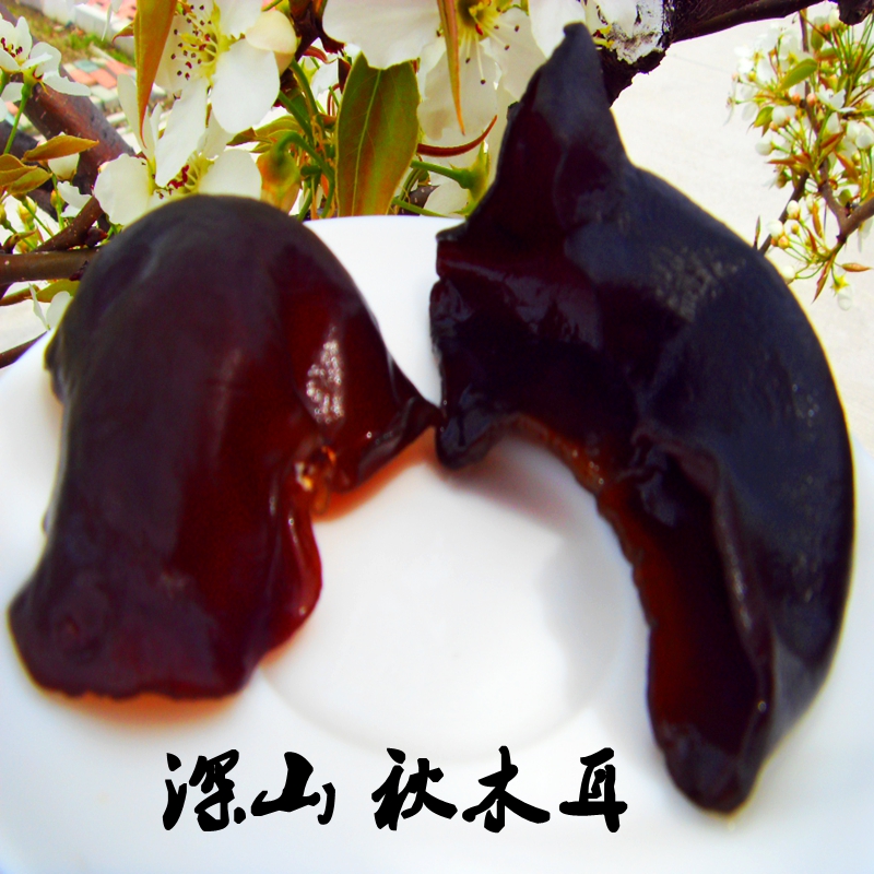 東北特産幹貨天然秋木耳無根純野生環境 特級深秋黑木耳500克山珍在類目 糧油米麪/南北乾貨/調味品, 南北乾貨/肉類乾貨, 乾貨/土特產, 黑木耳中 - 來自Buy2taobao.com提供專業的淘寶代購服務