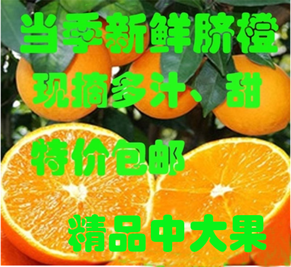 现摘脐橙秭归当季榨汁新鲜水果甜橙子手剥薄皮10斤孕妇宝宝在类目 水产肉类/新鲜蔬果/熟食, 新鲜水果, 橙中 - 来自Buy2taobao.com提供专业的淘宝代购服务