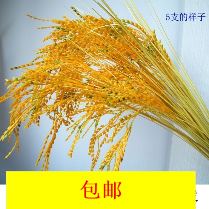 simulation Rice Paddy Ear of Wheat Millet Plastic Rice Rice indoor a decoration decorate Silk flower Model Paddyin the Flower delivery/Flowers simulation/Plants gardening , Artificial flowers/Plants/Finished fruits and vegetables (New) , Simulation plants category - from Buy2taobao.com to provide professional Taobao agent buy service