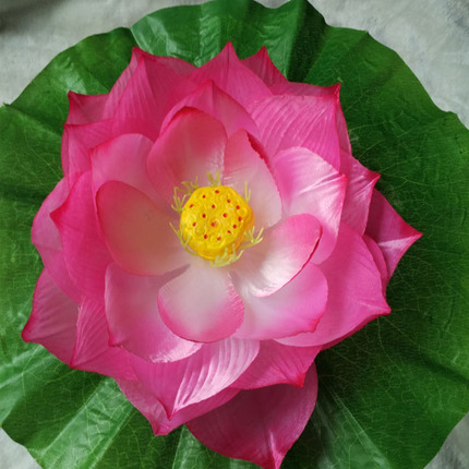 Best Sellers 61 Children's Day dance Lotus Hand prop Lotus Children's Gymnastic flowers/Headdress/Clothes accessoriesin the Home accessories , Vase/Flower/Artificial flowers/Imitation jewelry , Artificial flowers/Artificial flower category - from Buy2taobao.com to provide professional Taobao agent buy service