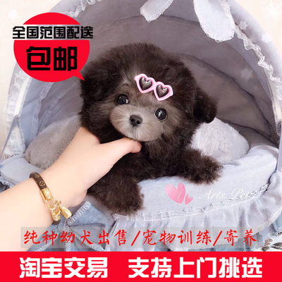 豭ȮǮ_ڹ豭Ȯ_豭Ȯ۸豭ȮǮ豭