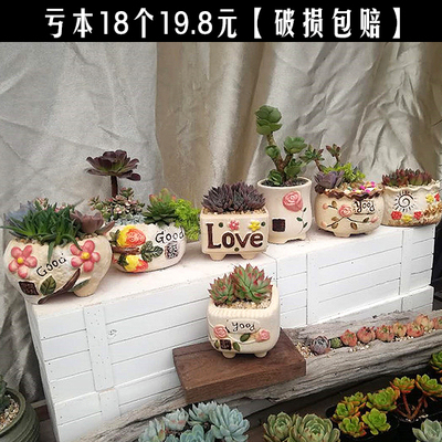 特价多肉植物花盆简约桌面盆栽素陶透气韩式手绘陶瓷花盆麦饭石盆