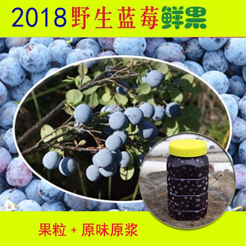 野生蓝莓鲜果冷冻鲜果加无添加糖原浆蓝莓果粒包邮|ruв категории закуски/орехи/специальность, кандирование/унаби/Мэй/сухофрукты, черника - от Buy2taobao.com для оказания профессиональной услуги покупки агента Taobao